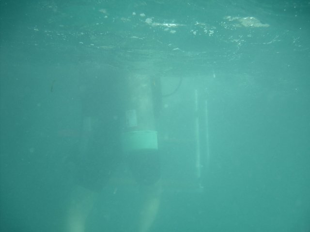 jess climbing onto the dive boat